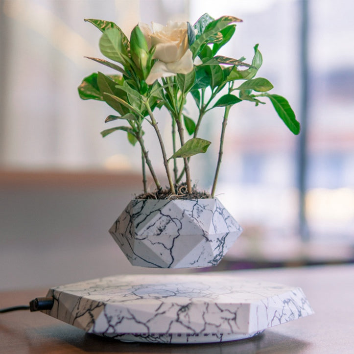 Levitating Plant Pot – Floating Magnetic Planter