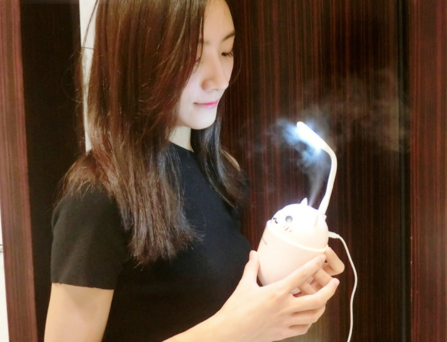 Mini Desktop Air Humidifier for Bedroom & Office