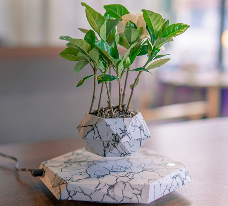 Levitating Plant Pot – Floating Magnetic Planter