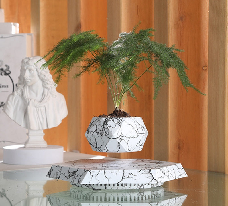 Levitating Plant Pot – Floating Magnetic Planter